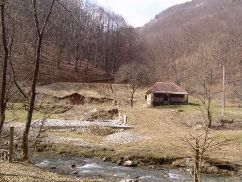 amalia cap valea bratcutei 007