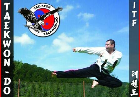 Taekwon-Do1
