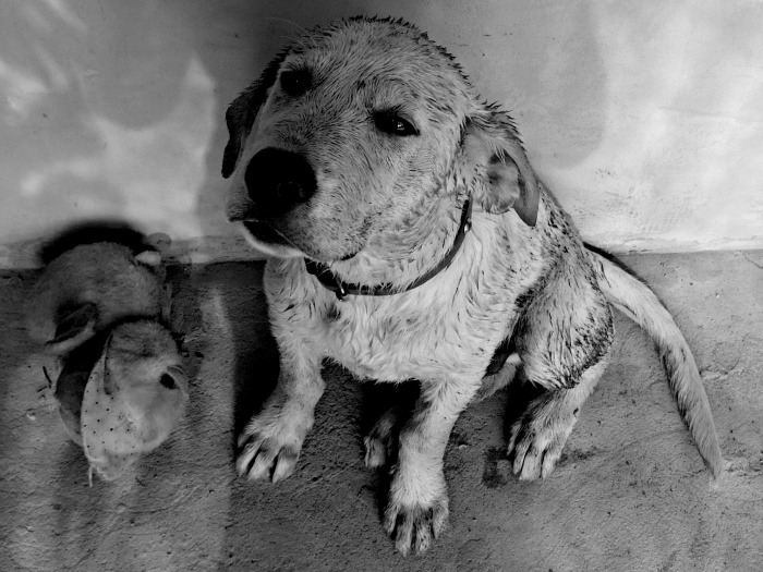 Autor foto: Oana Radu, Liceul de Artă Ionel Perlea, Slobozia, imagine de pe galeria online a concursului