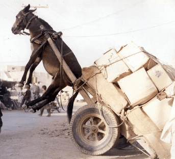 Sursa imagine: adamshahan.com