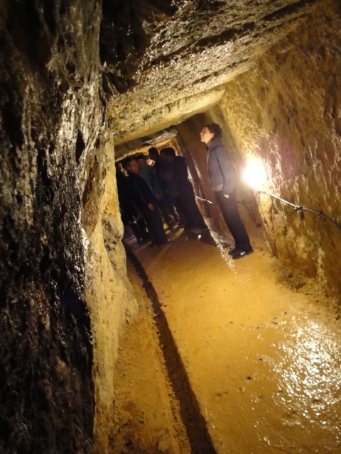 Sursa foto: talentirosit.ro