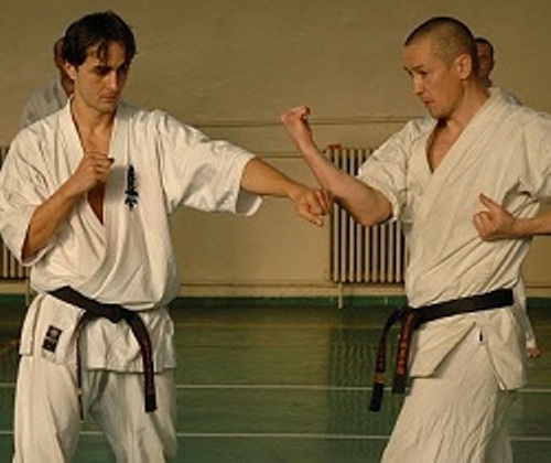 Sursă imagine: www.haukis.com