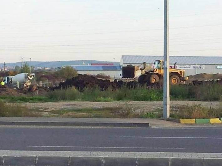 Photo credit: IOANA MILIAN