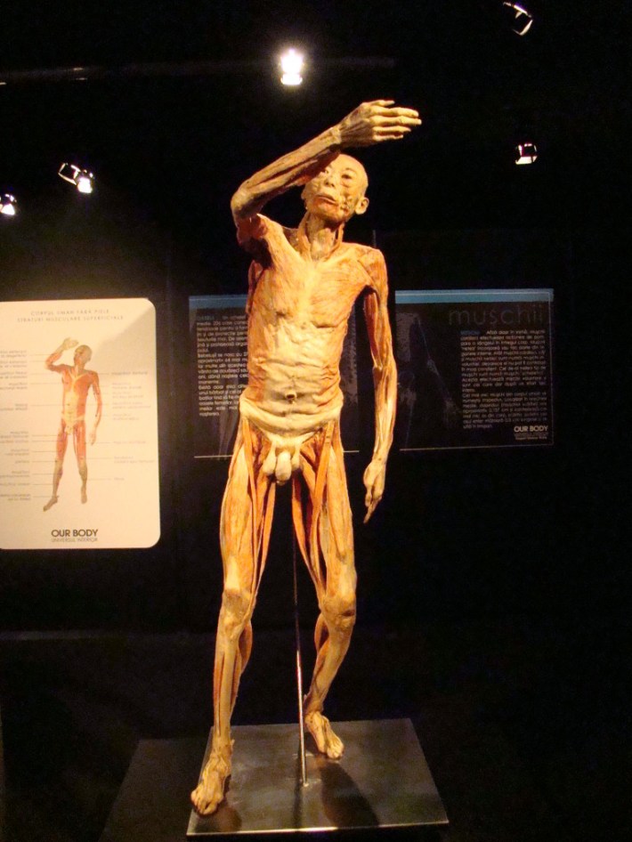 Sursa imagine: cluj.com