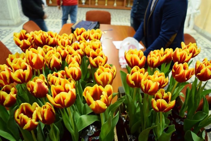 O imagine a lalelelor oferite cadrelor didactice la Onisifor Ghibu