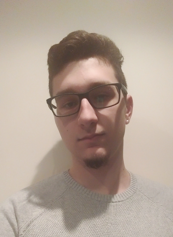 horea bochis portret