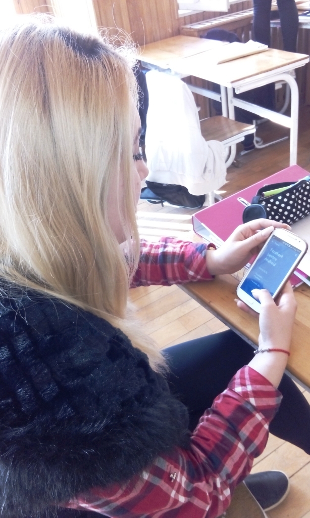 imagine calculator - autor david ioana