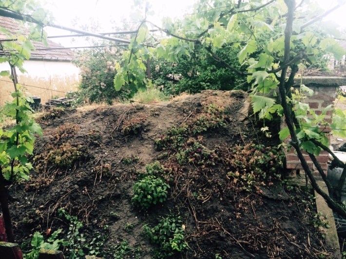 pivnita bogdan bazoc 05 web