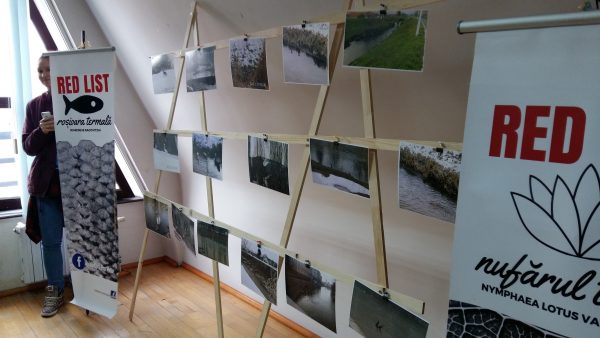 4foto-ecologisti-ghibu-600x338