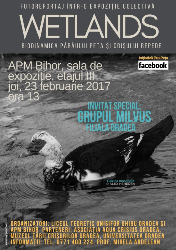 afis-wetlands-jpg-web