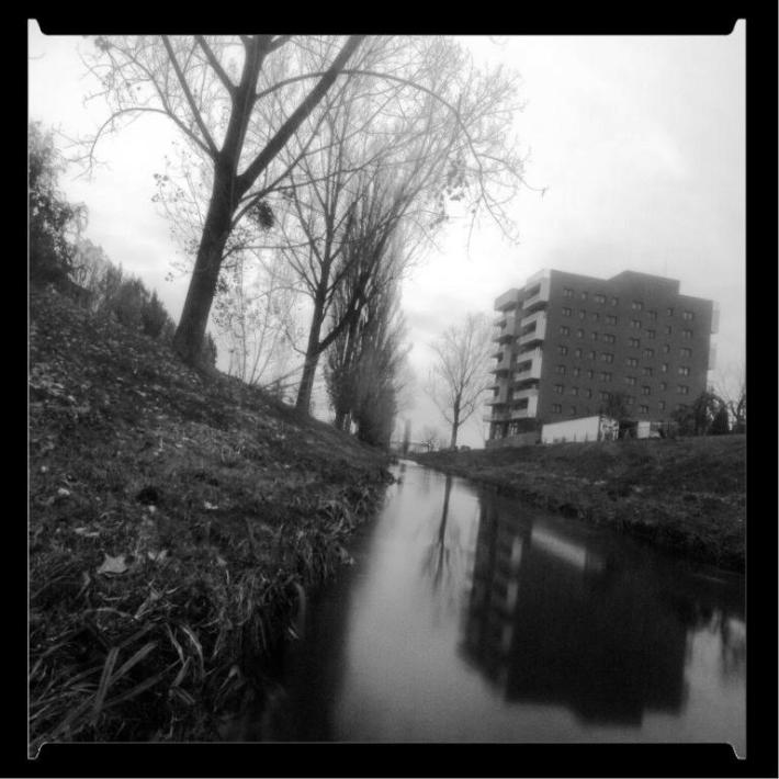 paraul-peta-in-zona-parcului-salca