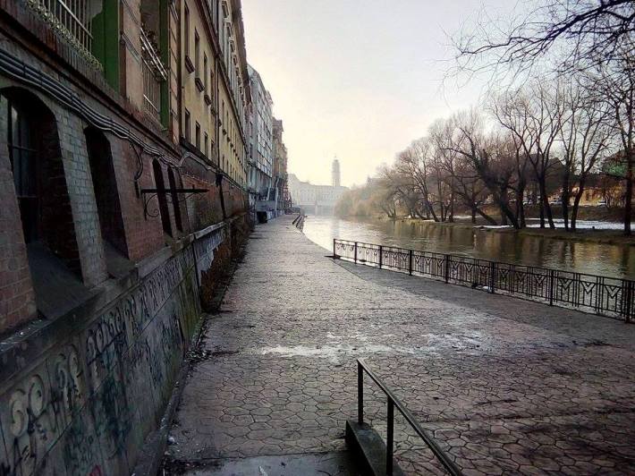 wetlands-feat-alex-iova