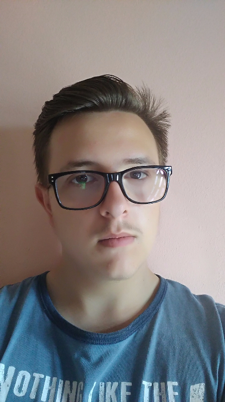 portret andrei samasca