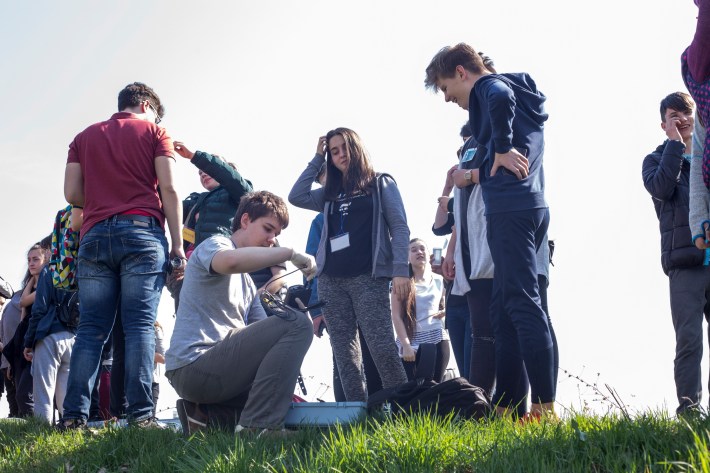 Peța în eprubetă.jpg