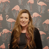 a88ae688f7f64a9af4376ab43f356d93