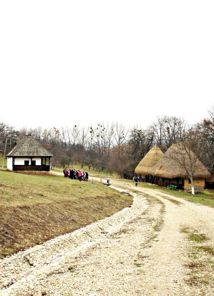 DSC02460