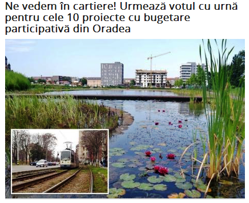 Ne vedem in cartiere Urmeaza votul cu urna pentru cele 10 proiecte...