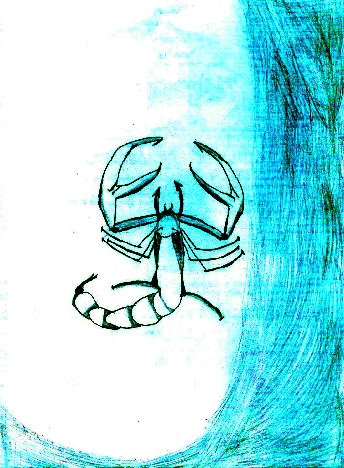 Desen scorpion