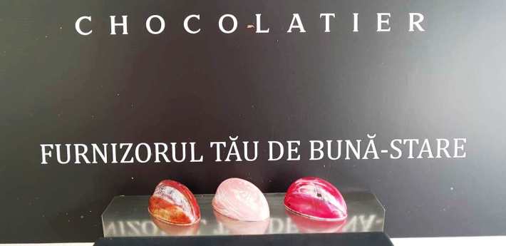 50944089_411323582742661_4177265241966510080_o